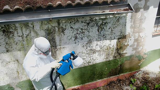 Mold Remediation service in Somerville, Somerville, MA